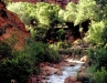 Canyons