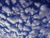 Landscapes
